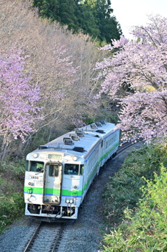 藤城線 5881D 4月24日 キハ40-1800