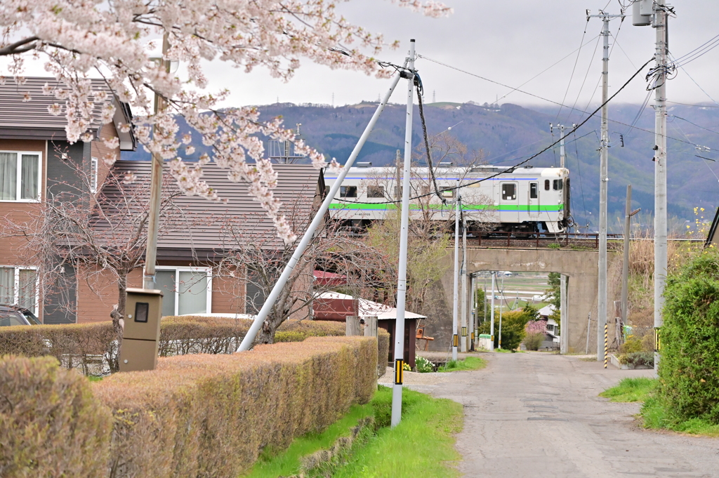 藤城線を行くキハ40と桜を無理やり絡めた。