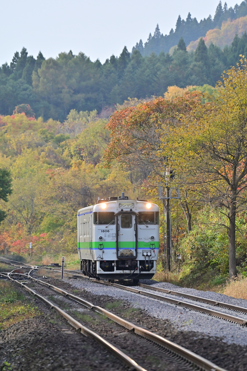 紅葉初めの仁山駅に進入するキハ40-1806