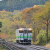 紅葉初めの仁山駅に進入するキハ40-1806