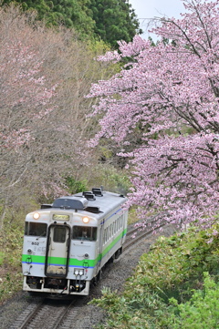 藤城線 5881D 4月25日