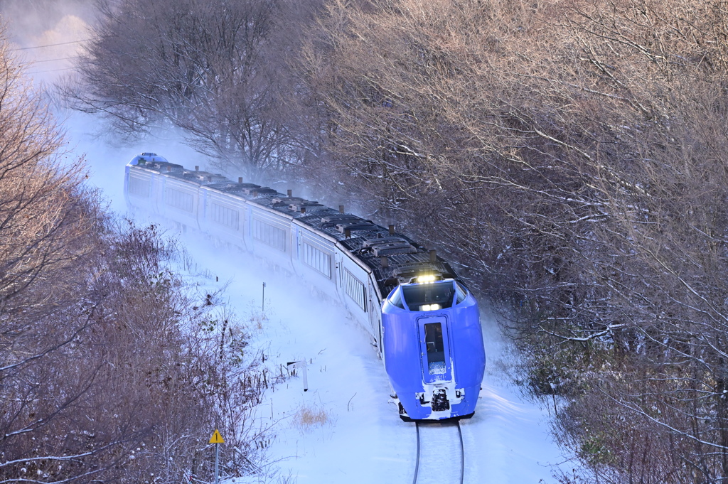 元旦7連で走るキハ281北斗2号