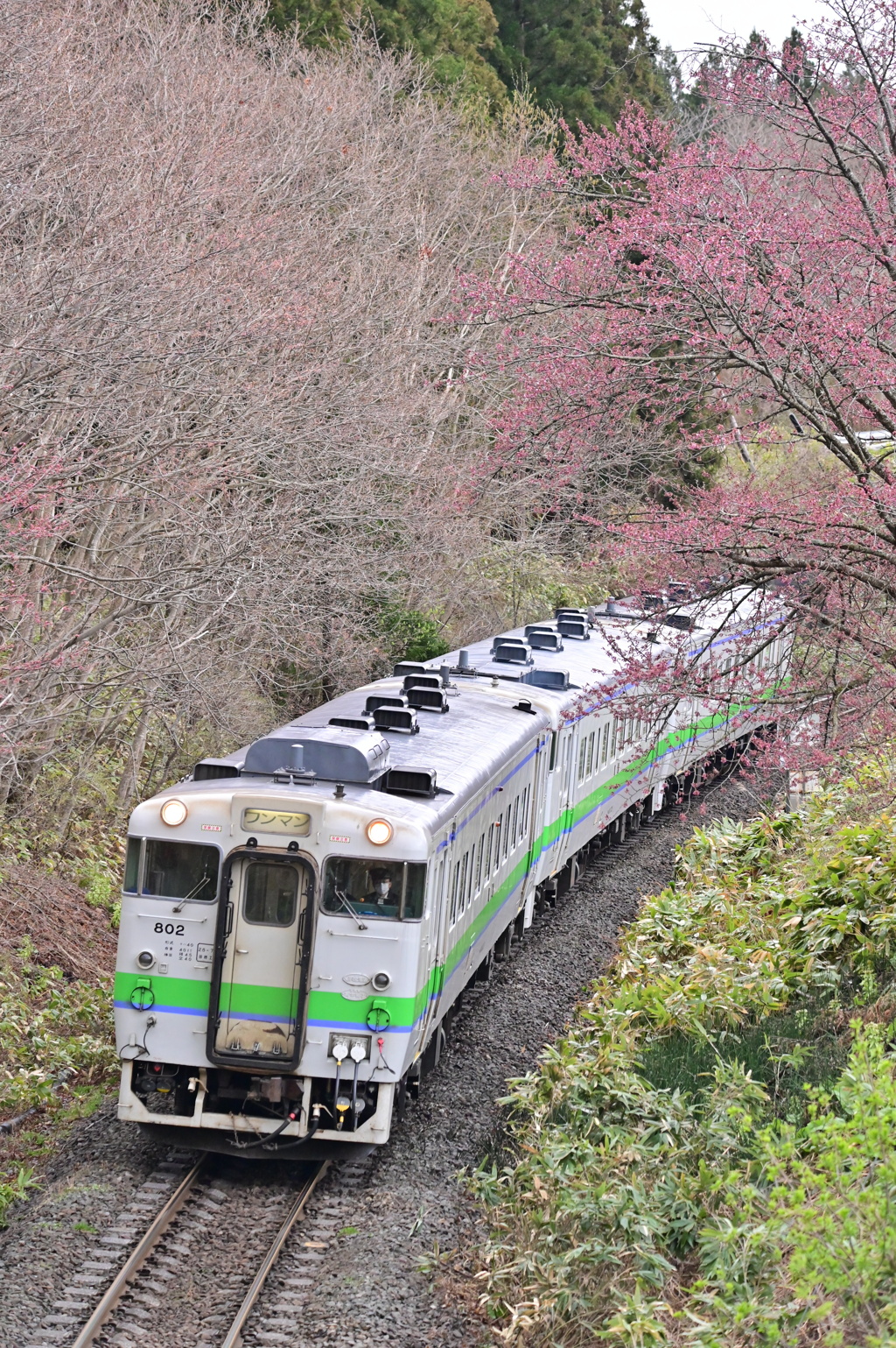 藤城線 5881D 4月19日 キハ40-802