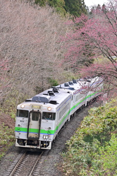 藤城線 5881D 4月19日 キハ40-802