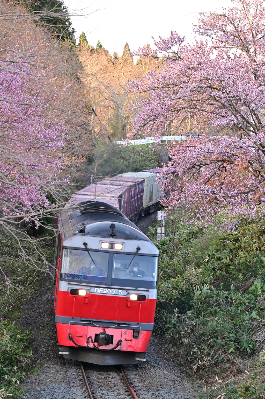藤城線 3057レ 4月22日