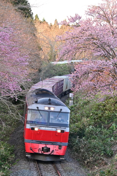 藤城線 3057レ 4月22日