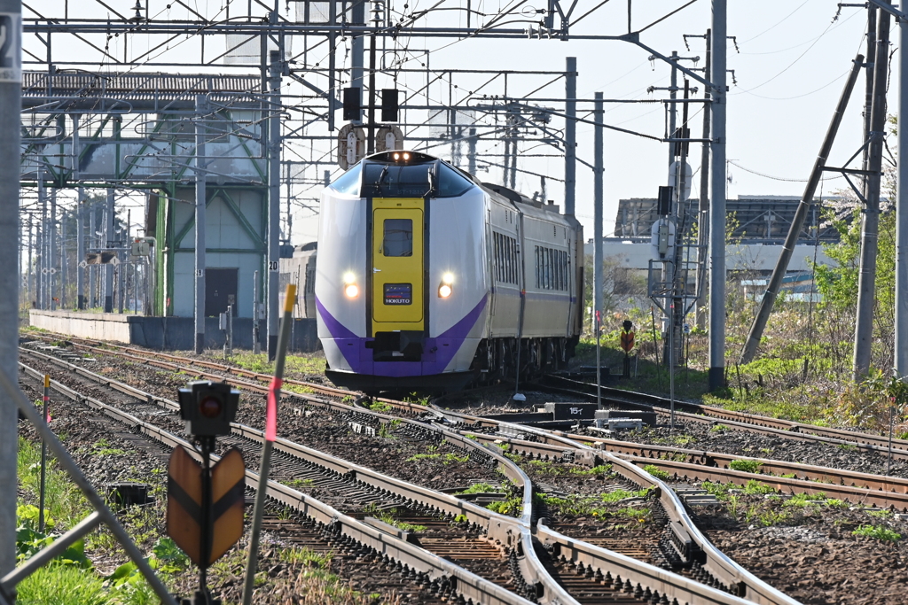 七飯駅で仁山方面へ転線する特急北斗キハ261