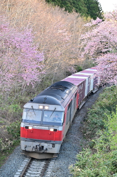 藤城線 3057レ 4月23日