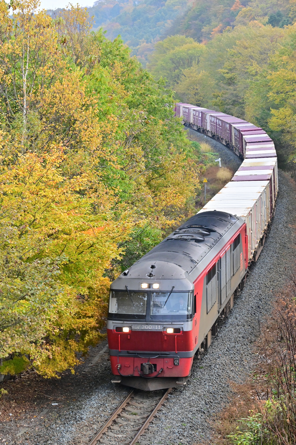 DSC_0005