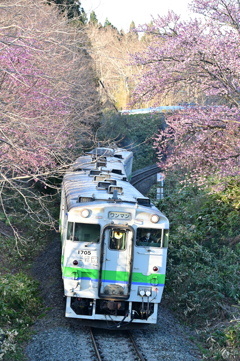 藤城線 5881D 4月21日