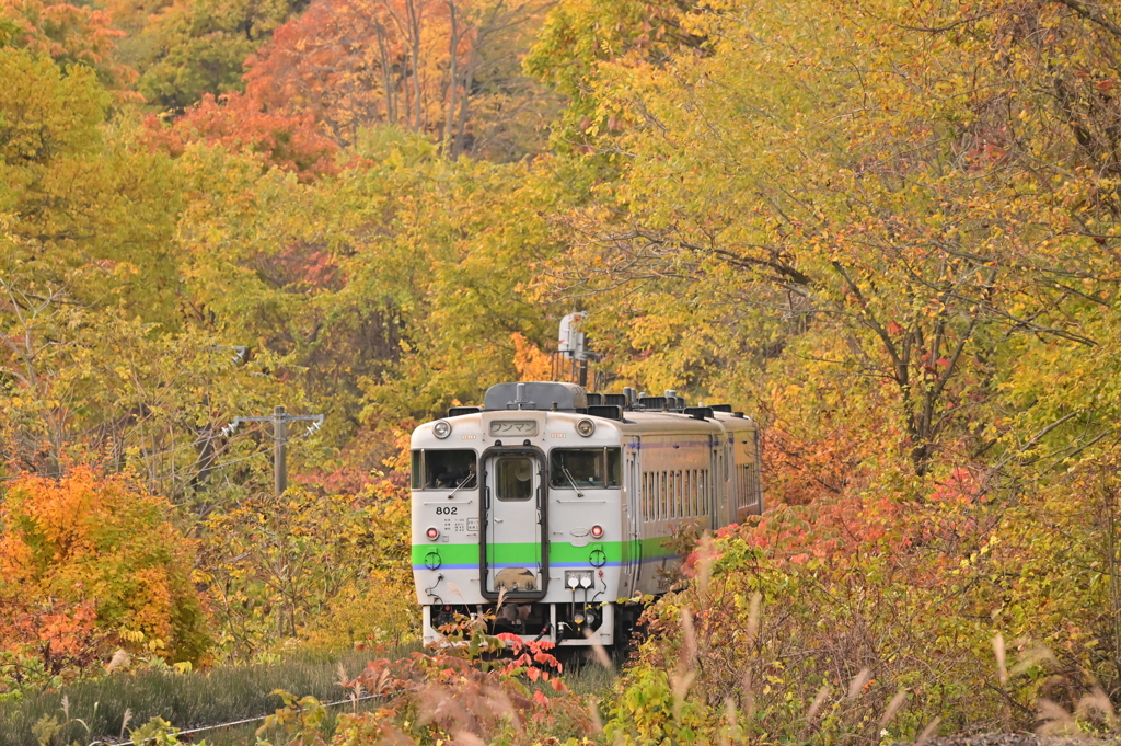 仁山の紅葉に吸い込まれる5882D キハ40-802