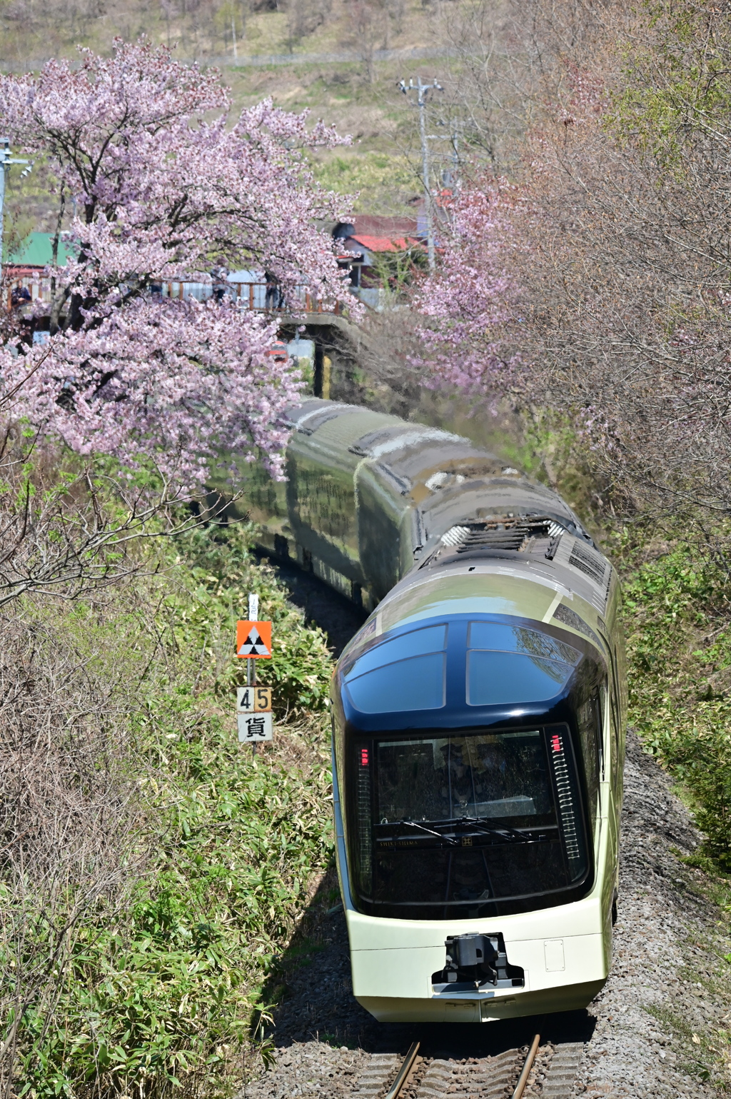 下り四季島と藤城線の桜