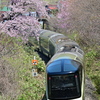 下り四季島と藤城線の桜