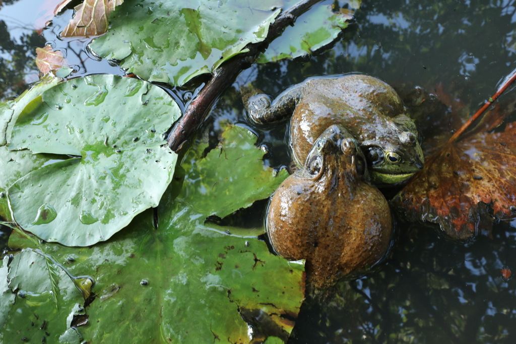 36F76395-A909-47B1-BA9C-082C11FAC65D