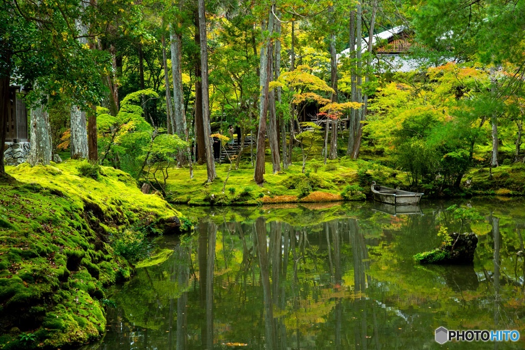 苔は日本の心です