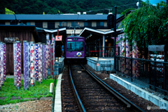 紫かっこよす！