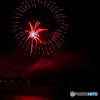 夜の向日葵
