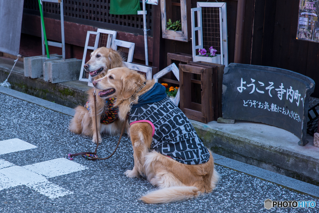 仲良しモデルさん