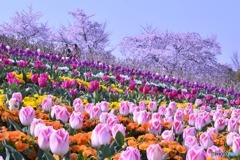 馬見丘陵公園