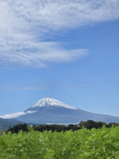 霊峰富士