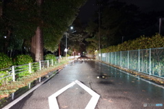 夜の道路