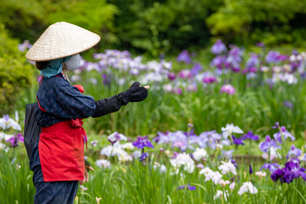 花に花を添える