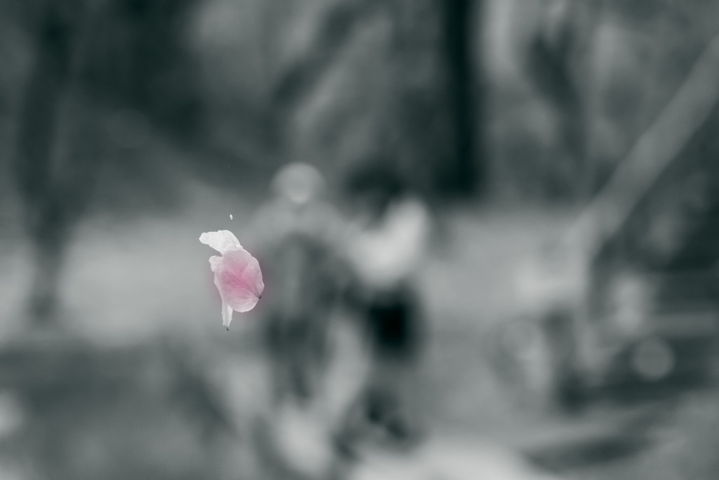 紅一点