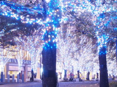 横浜美術館とマークイズの間