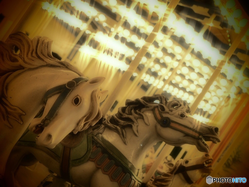 紫陽花帰りにﾊﾟｼｬｯ! Σp[【◎】]ω･´)