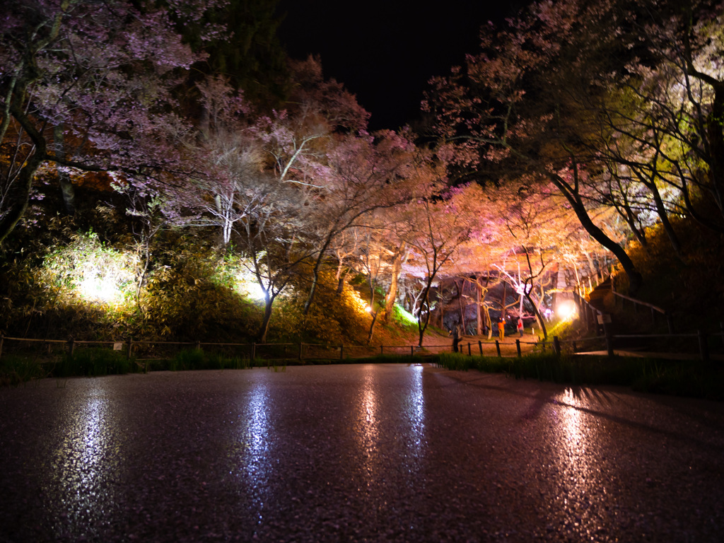 花火の様に