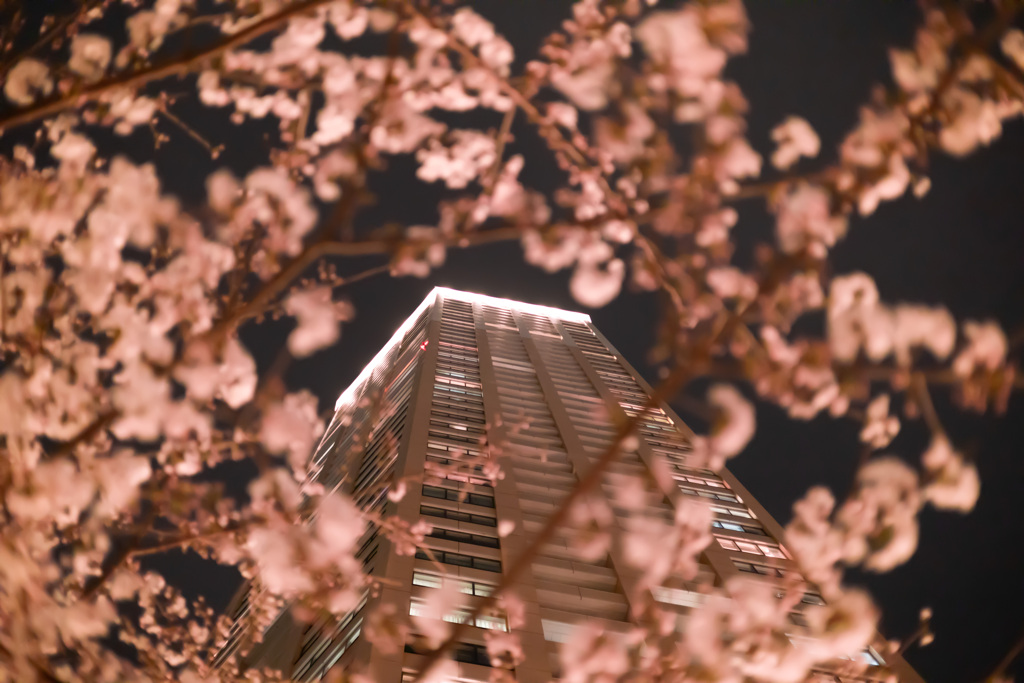 建築写真