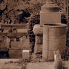猫と神社