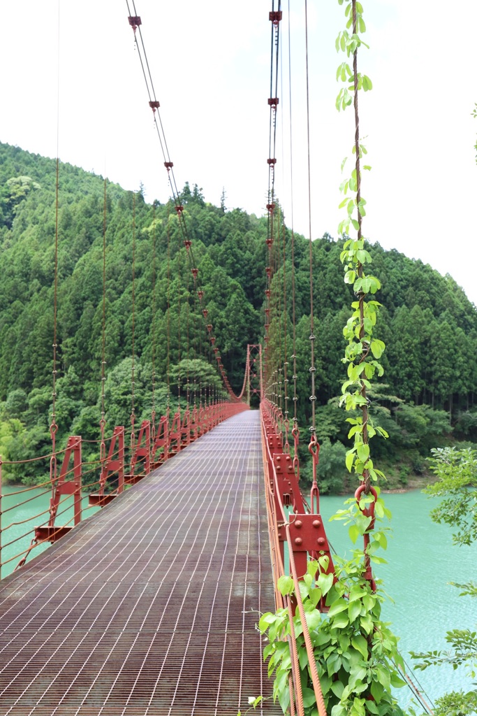 池にかかるつり橋