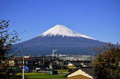 mt.fuji