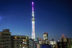 Skytree 〜Olympic Ver.〜