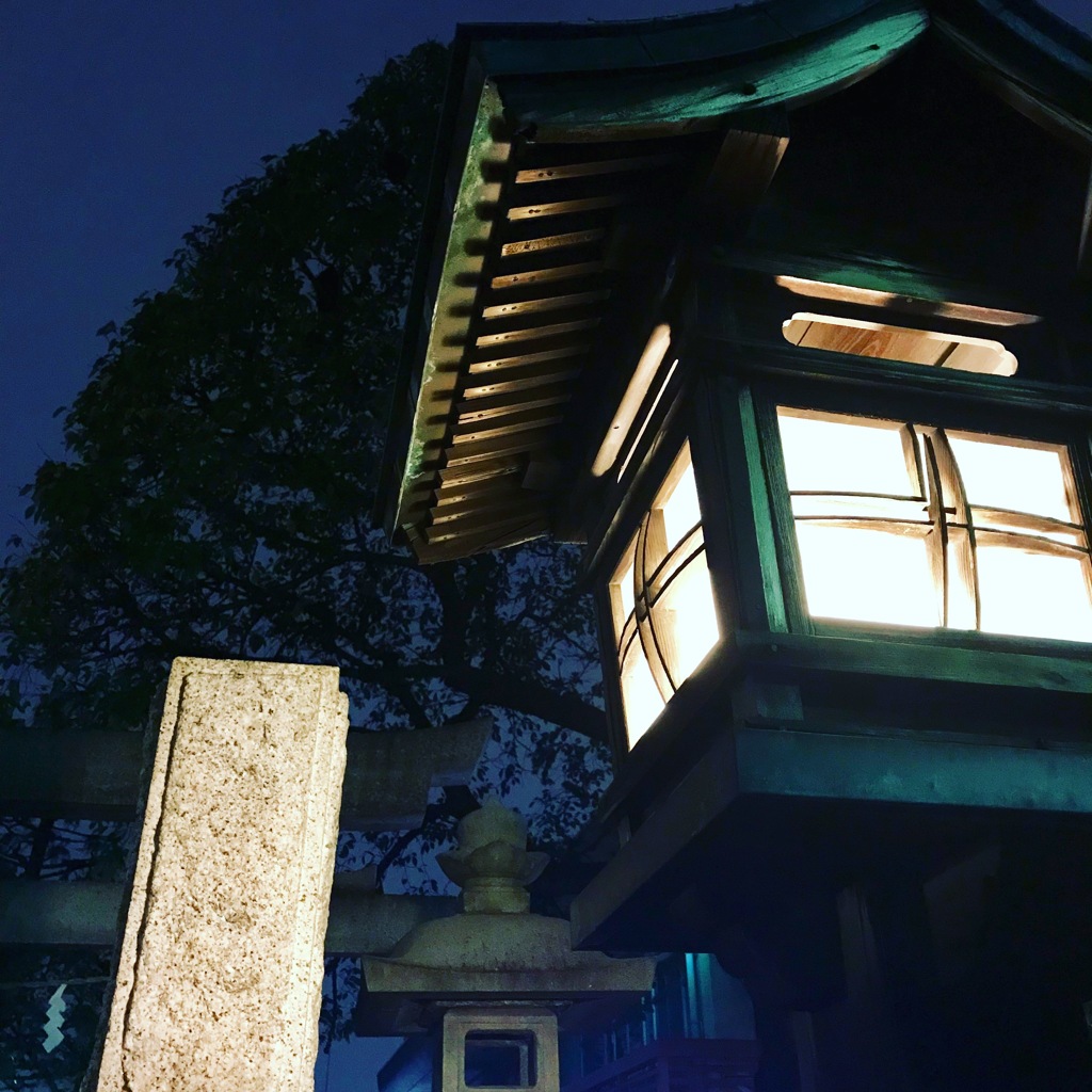 蒼の灯火