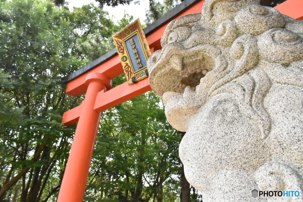 鳥居と