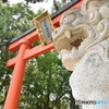 鳥居と