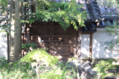 庭園