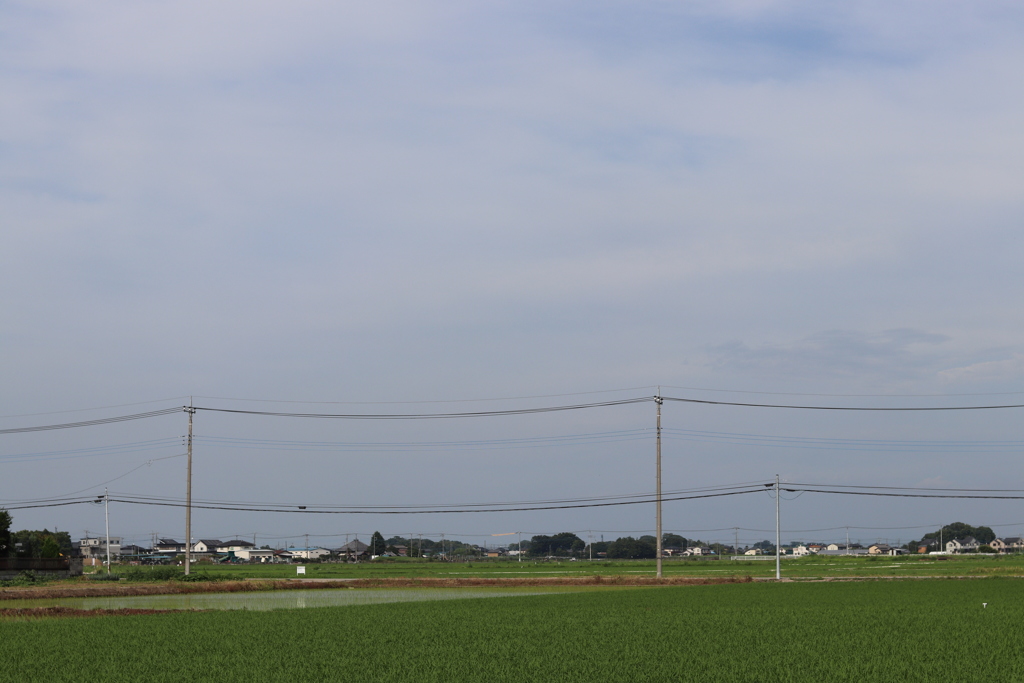 田園