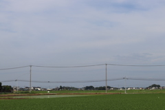 田園