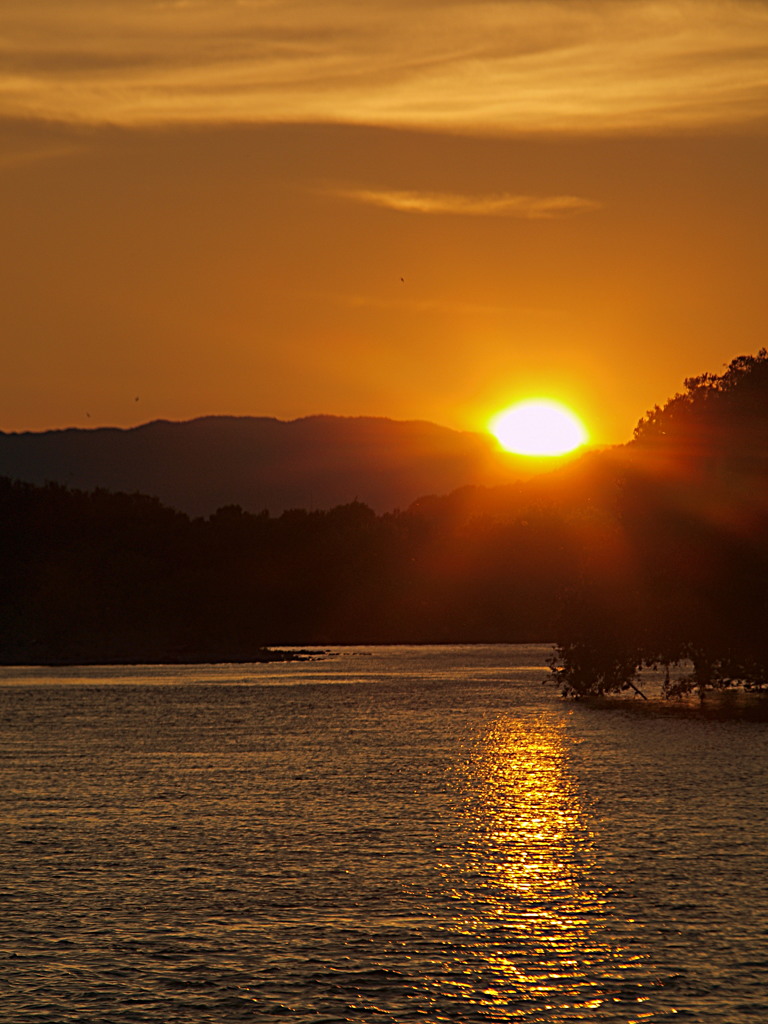 夕日