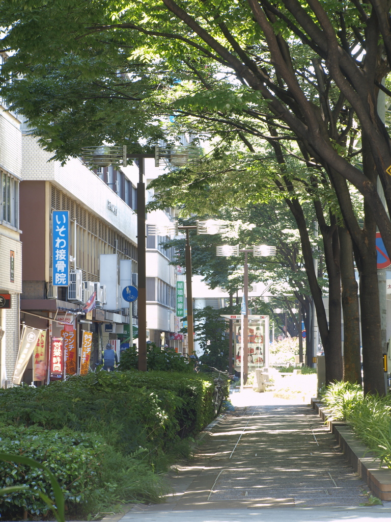 大通りの歩道