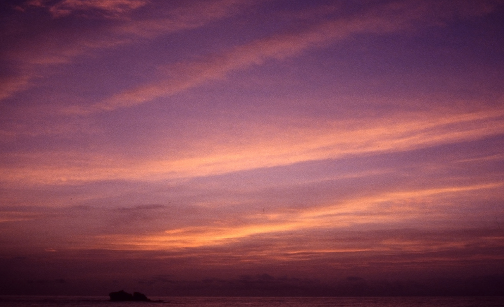 SUN SET Niigata 2