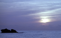 Niigata　テスト２