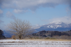 蛤山