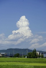 今年の夏は暑かった