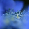 ＢＬＵＥ