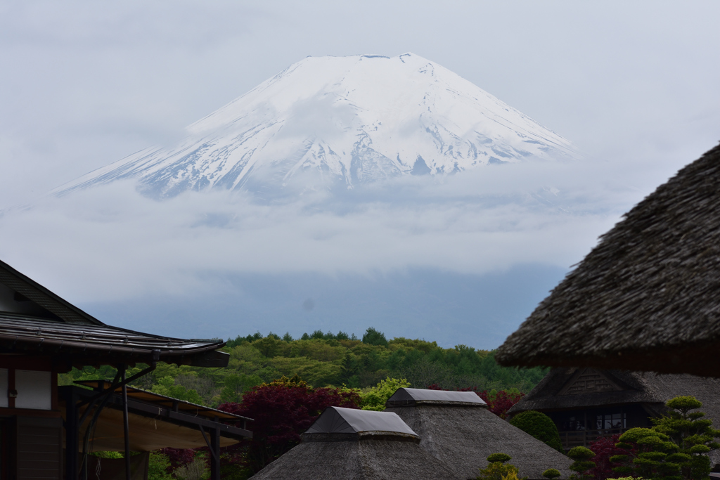 雲海に浮かぶ富士