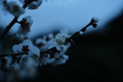 令和５年　雨水